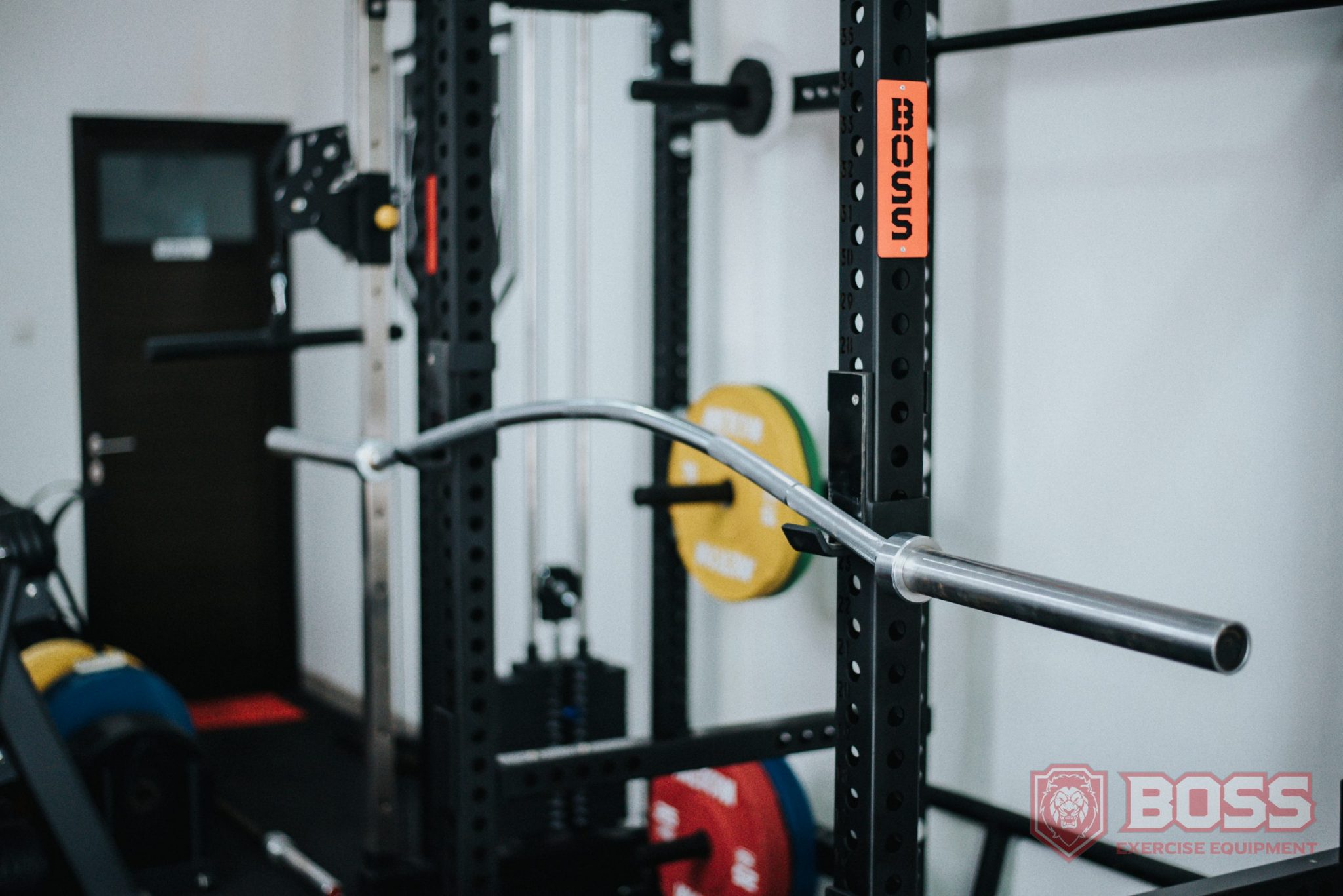 Boss Bear Bar/ Buffalo Bar