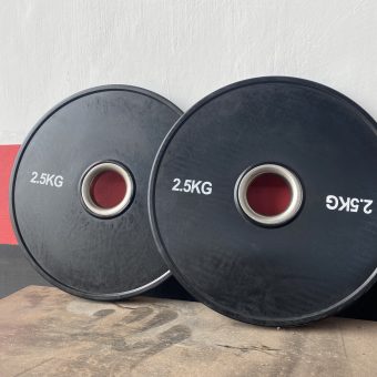 Mini Bumper Plates