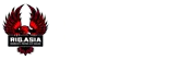 Your Logo