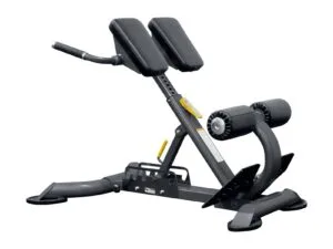 Rig Asia Lower Back